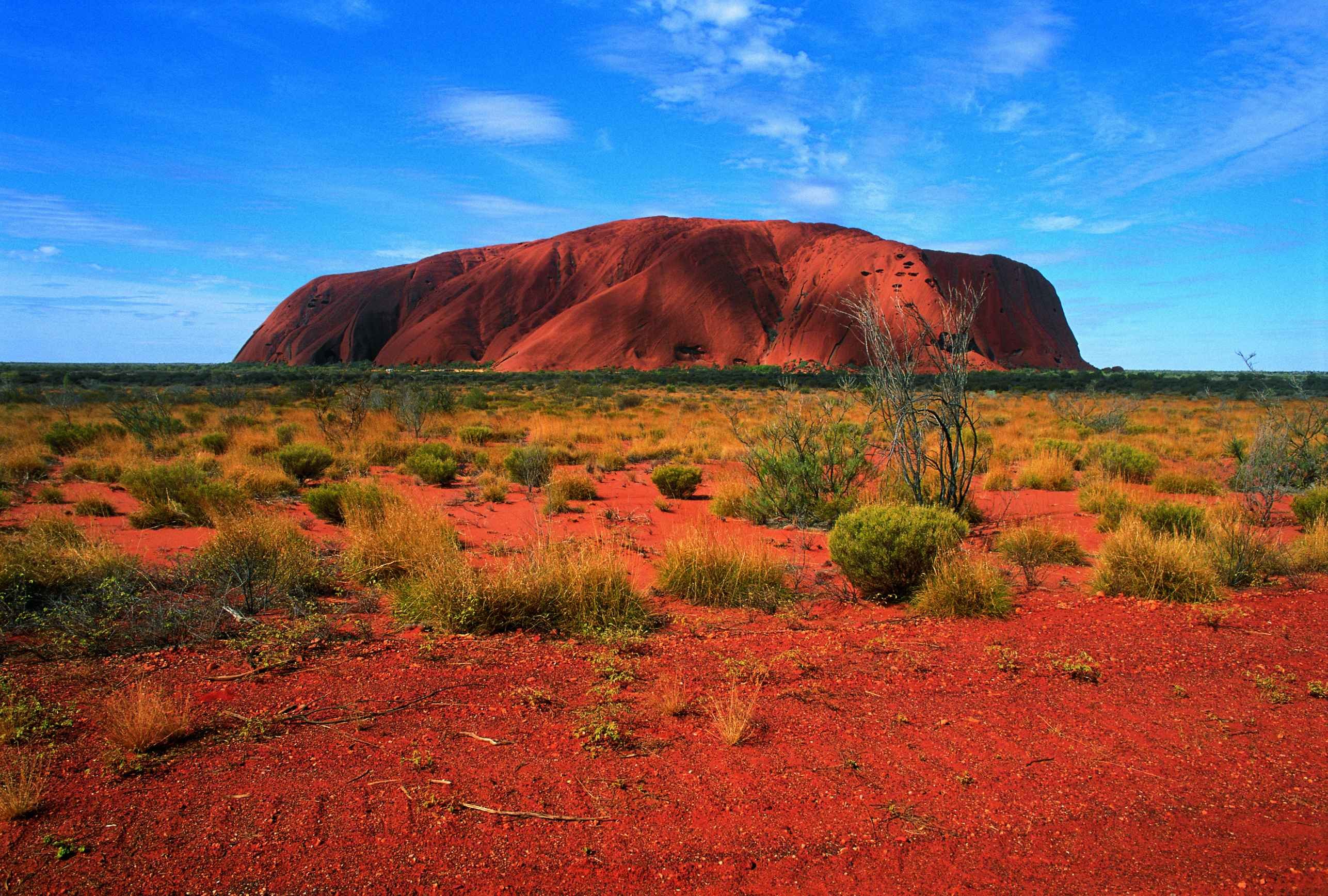 Incontournables d'Australie - Adélaïde - Ayers Rock - Kings Canyon - Adélaïde - Ayers Rock - Kings Canyon
