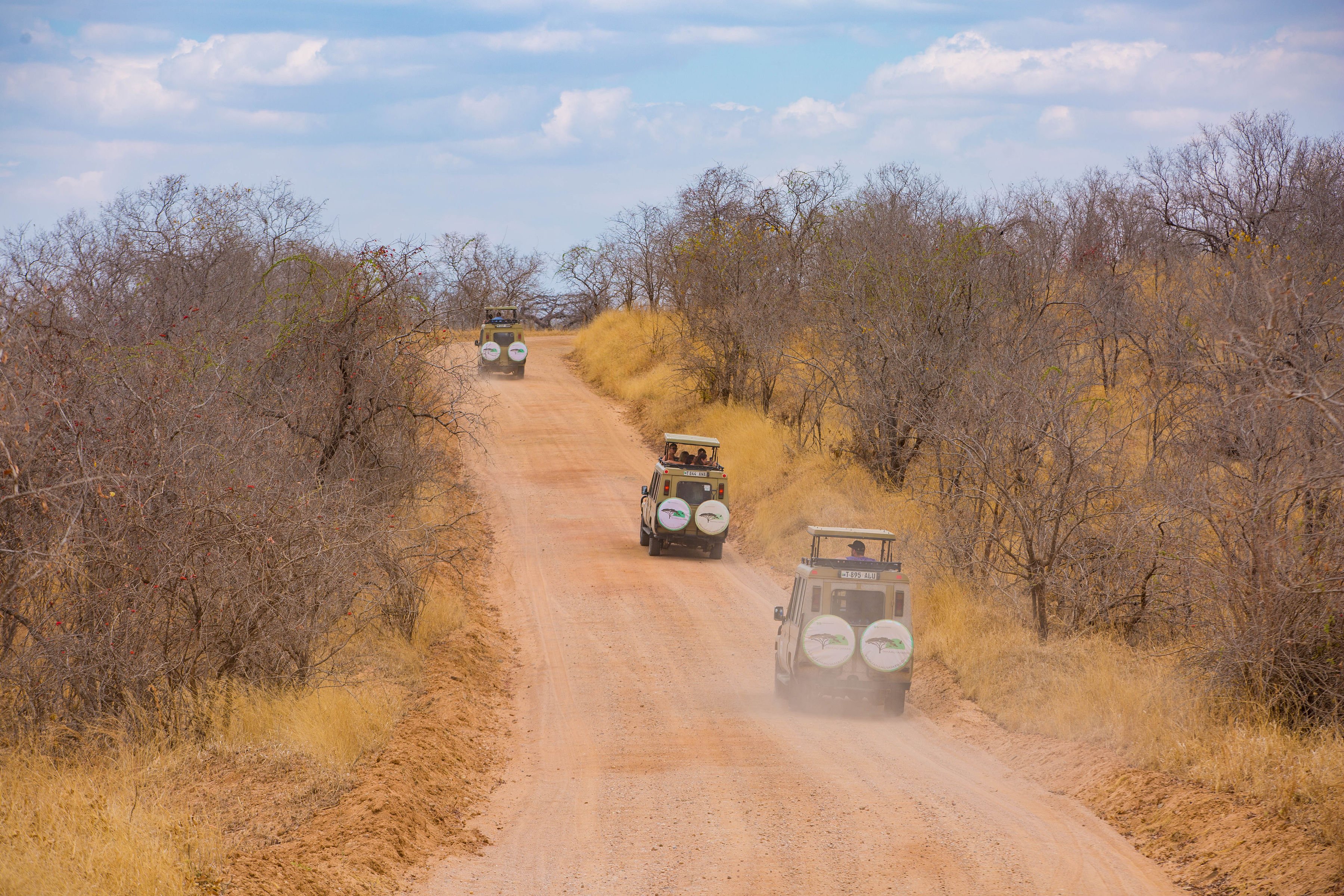 Tansania & Sansibar: 13-tägige Safari- und Strand-Erfahrung - Tarangire Nationalpark - Pirschfahrt - Tagesfoto