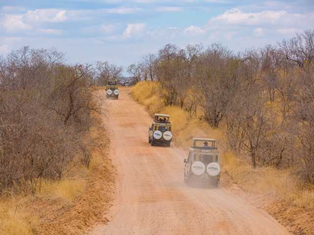 Expérience de 13 jours en Tanzanie et à Zanzibar : safari et plage