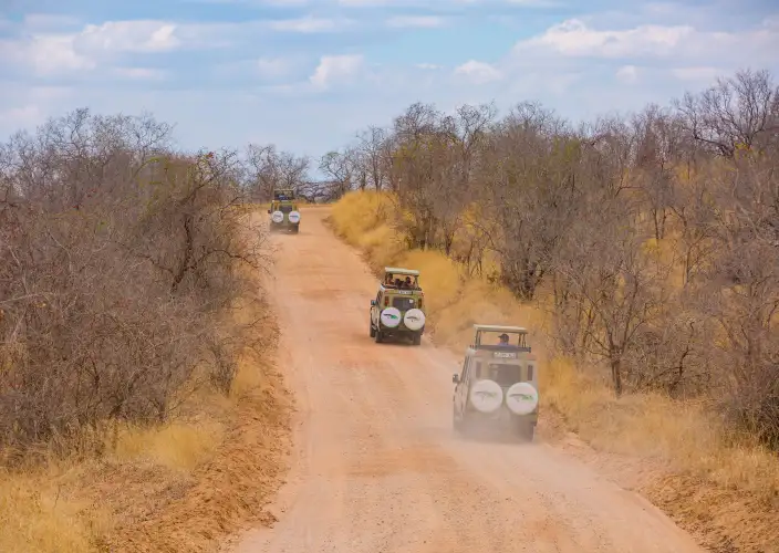 Tansania & Sansibar: 13-tägige Safari- und Strand-Erfahrung - Tarangire Nationalpark - Pirschfahrt - Tagesfoto