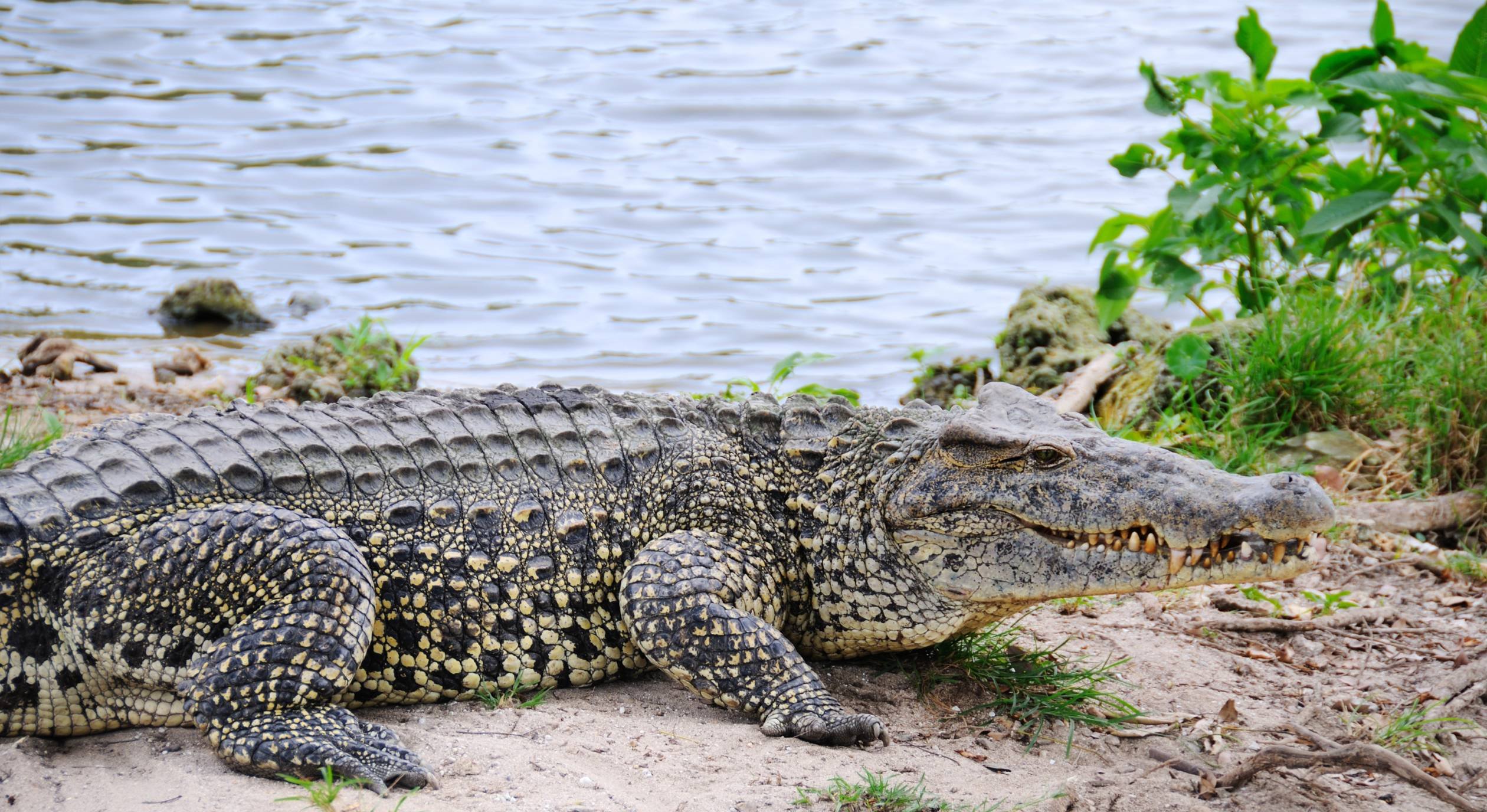 Voyage au Sud et Grand Rift - ARBAMINCH - TURMI - ARBAMINCH - TURMI