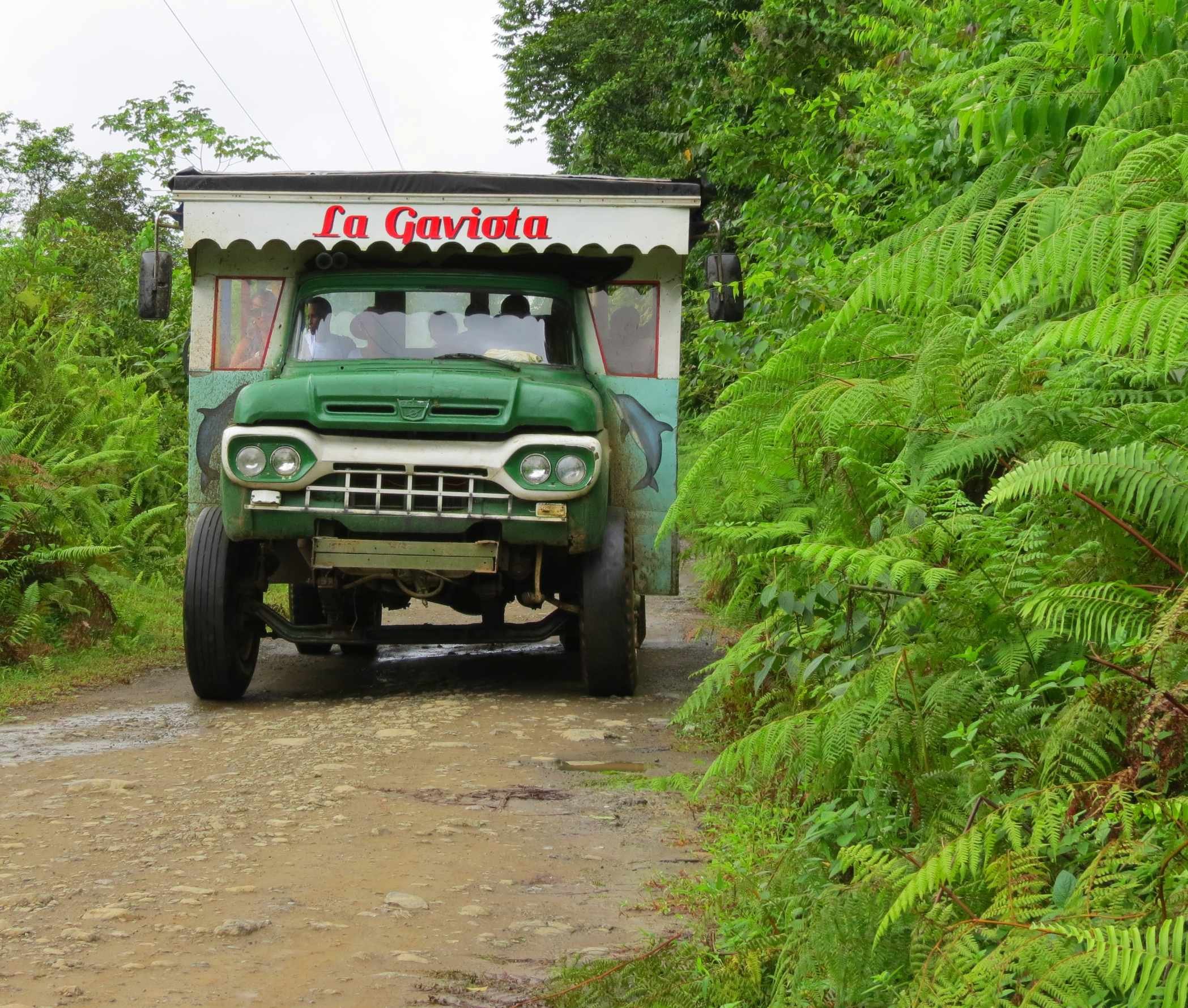 Van de Amazone tot de Stille Oceaan - Dag 14: Vertrek naar het Tayrona park - Jour 14 : Départ pour le parc Tayrona