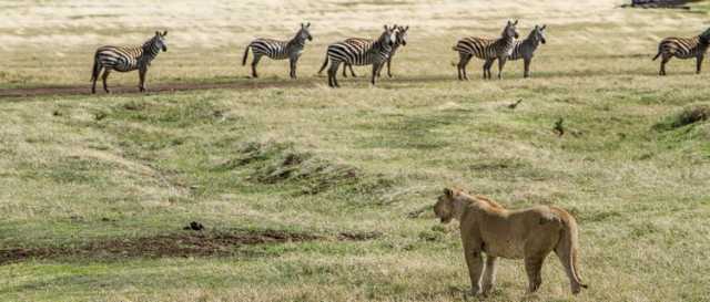 12 jours : Circuit au nord de la Tanzanie & Zanzibar