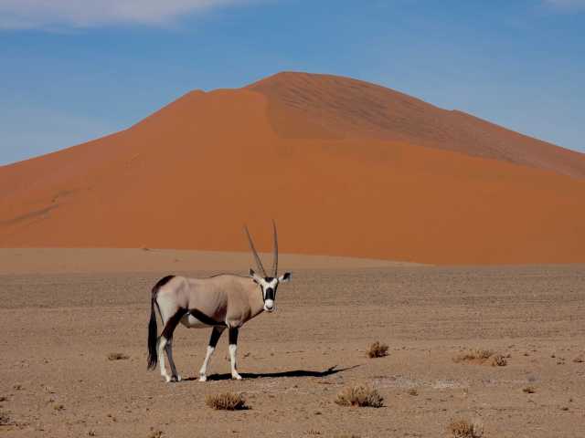 La esencia de Namibia
