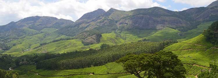 Dal tempio alla spiaggia - Visita di Munnar - Visite de Munnar