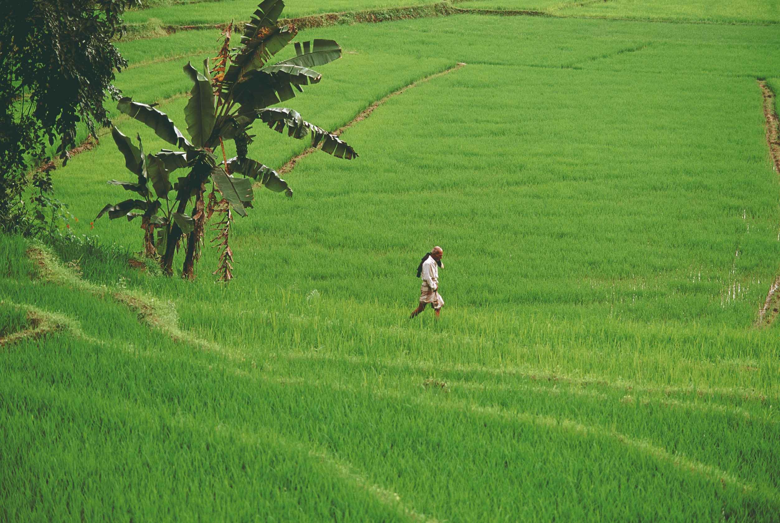 Le Sri Lanka, entre découvertes et détente - Retraite bien-être de deux jours dans les Knuckles. - Retraite bien-être de deux jours dans les Knuckles