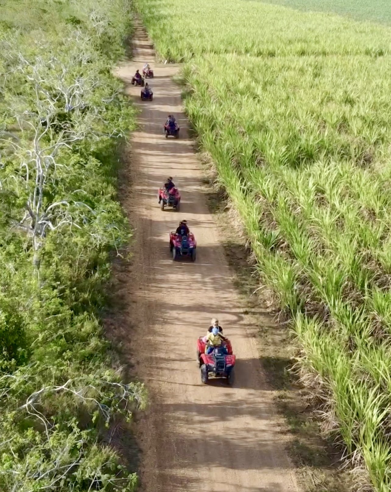 8 giorni a Bayahibe nella Repubblica Dominicana - null - Foto del giorno