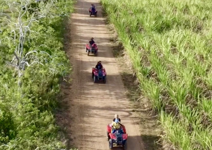 8 días en Bayahibe en la República Dominicana - null - Foto del día