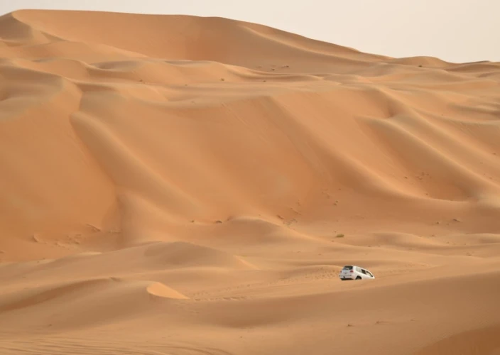 Soggiorno completo negli Emirati Arabi Uniti - 9 giorni - Giornata libera a Dubai per fare shopping. - Journée libre à Dubaï pour faire du shopping