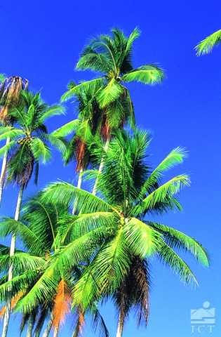 Natuurlijke wonderen van Costa Rica