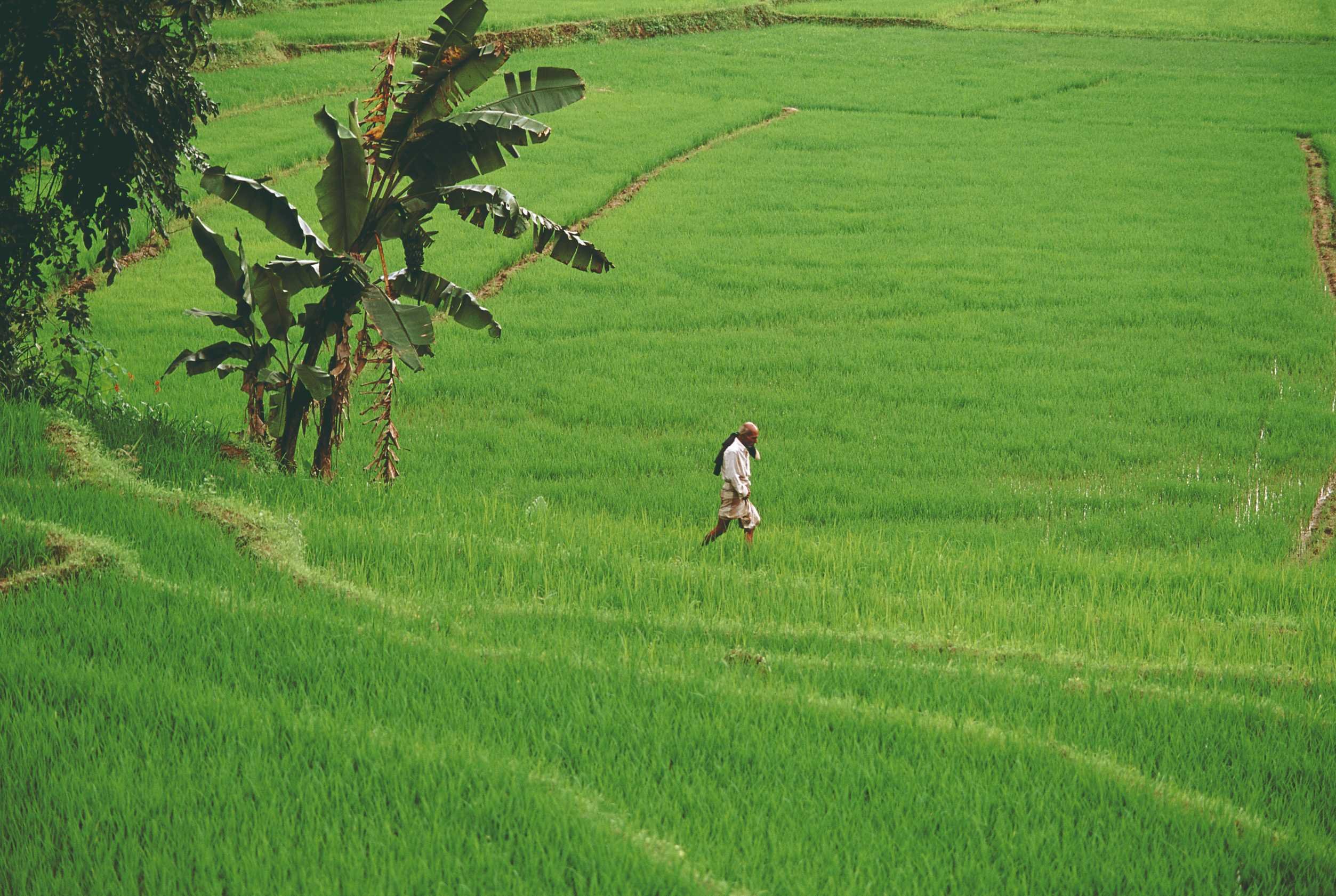 Sri Lanka todo incluido - En la ruta del triángulo cultural, encuentro con un monje budista. - Sur la route du triangle culturel, rencontre d'un moine bouddhiste