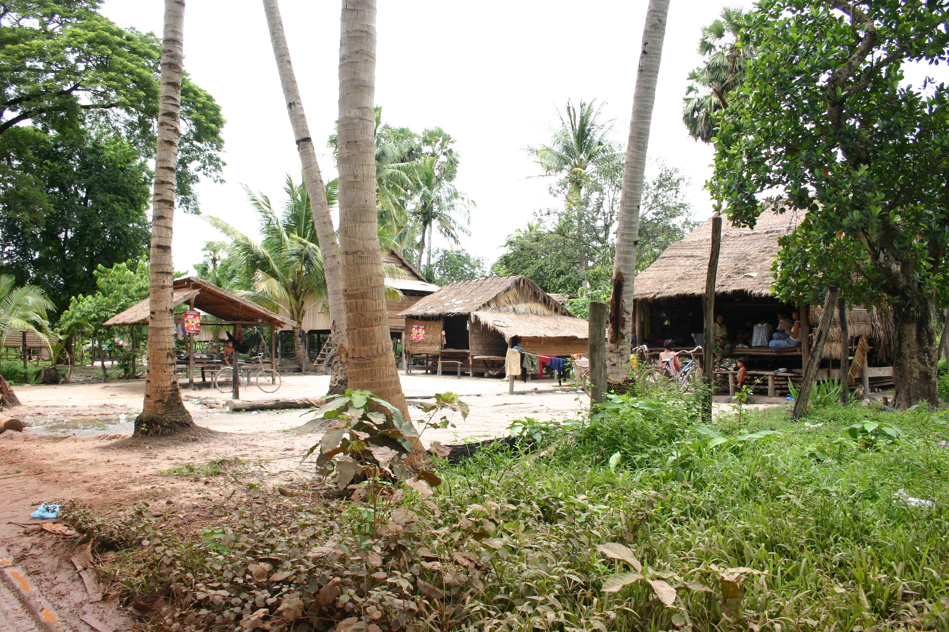 De terugkeer naar het Tonle Sap-meer + Kratie (dolfijnen) + Kep (kust) - Kep - Foto van de dag
