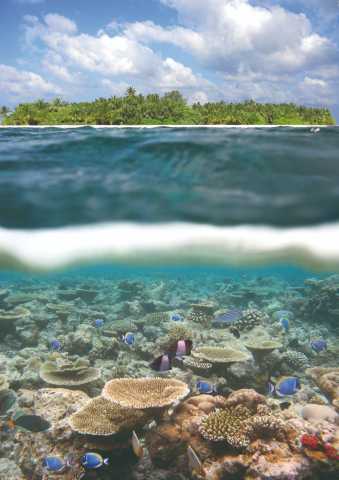 Malediven: Flitterwochen - romantische Reise