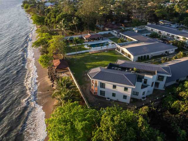 Experiência com Gorilas das Terras Baixas em África: Último Éden "GABÃO"