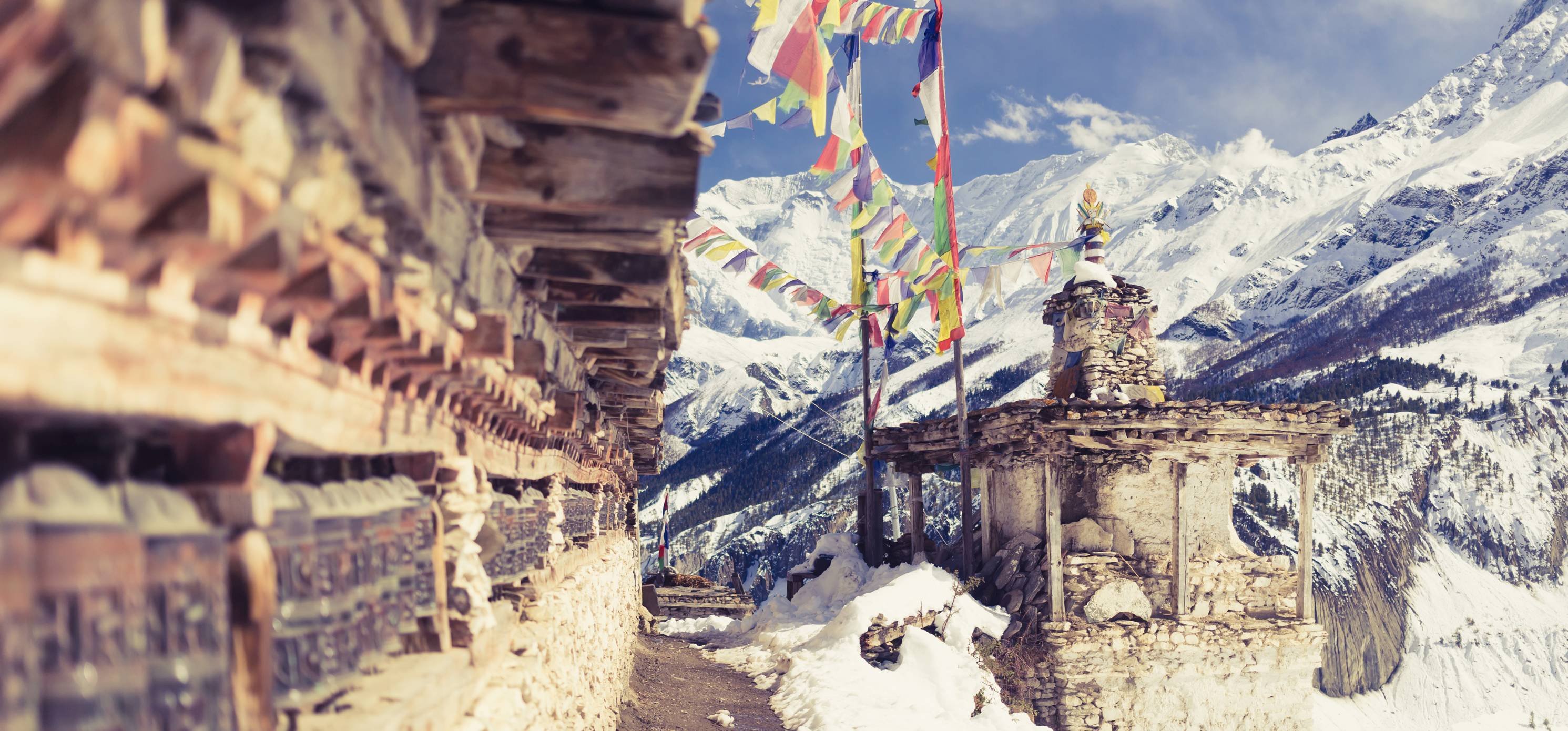 Trekking al campamento base del Annapurna - Caminata matutina hasta Poon Hill y trekking hasta Tadapani, 2 520 m - 5 horas. - Randonnée matinale jusqu'à Poon-Hill et trek jusqu'à Tadapani 2 520m - 5 heures