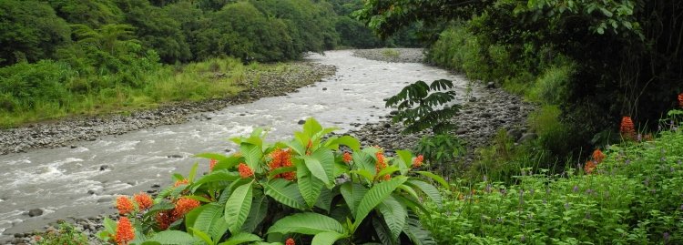 Aventure sportive au Costa Rica : montée d’adrénaline garantie. - Sur les rives du Sarapiqui - Sur les rives du Sarapiqui