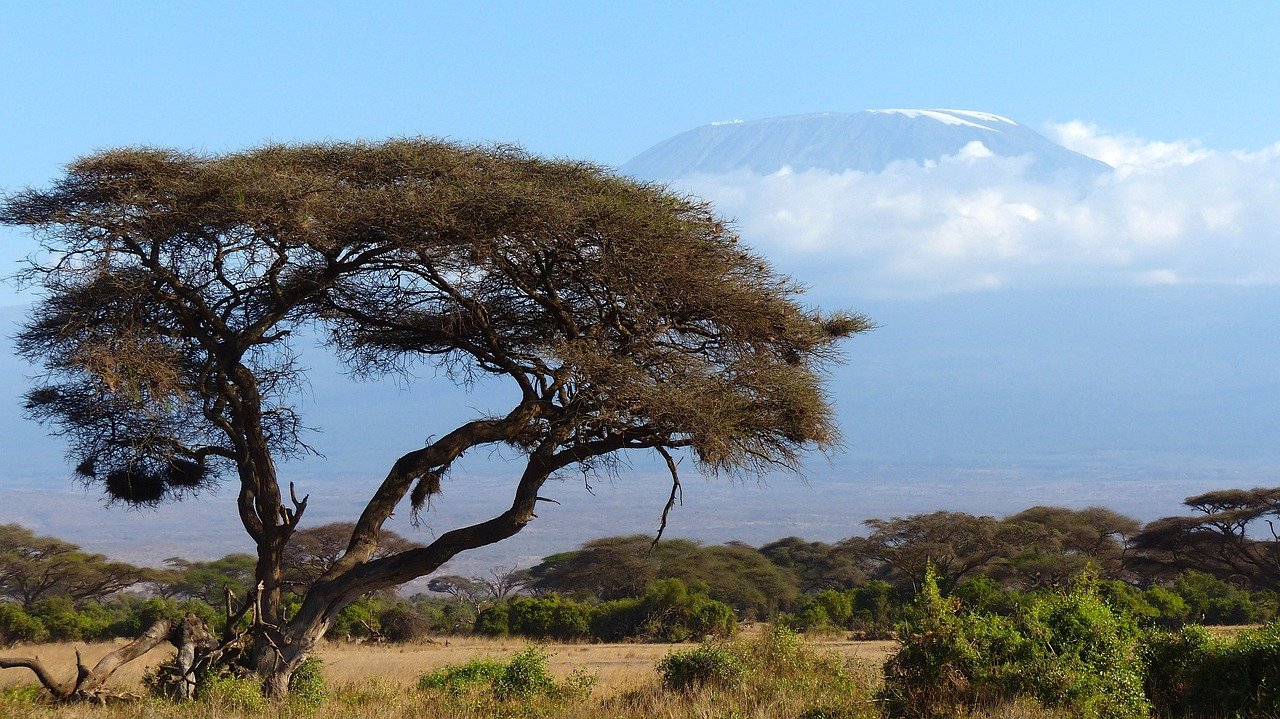 La traversée des gnous au Serengeti. - Arrivée en Tanzanie - Arrivée en Tanzanie