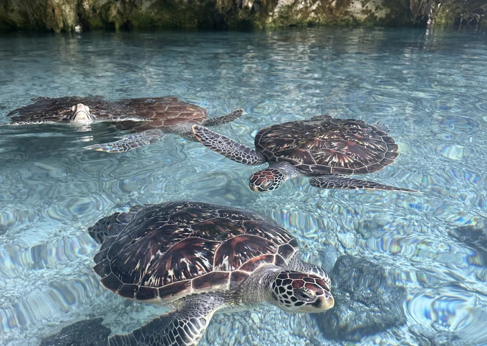 13-Day Tanzania and Zanzibar Value for Money - Fly to Zanzibar - Photo of the day