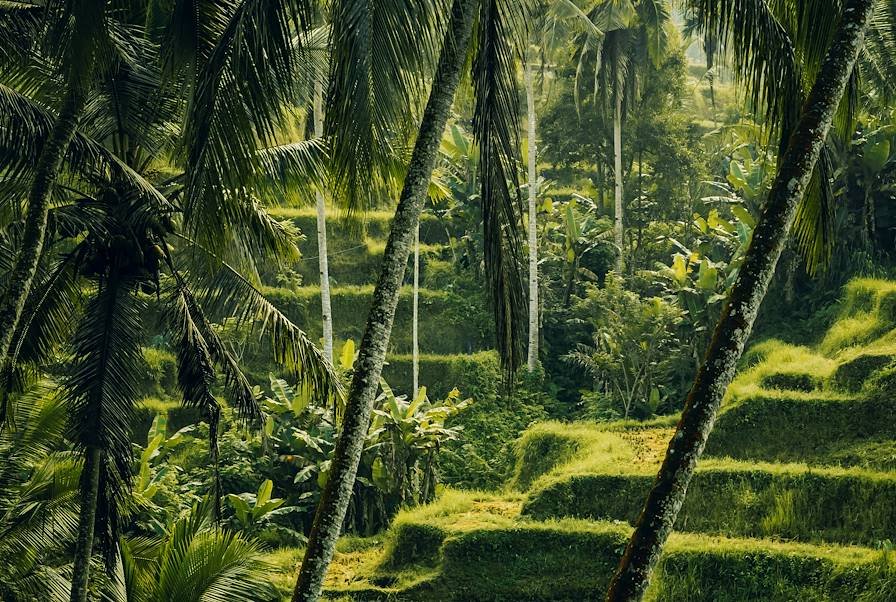 Villages, temples and Balinese nature - Excursion: the best of Bali - Photo of the day