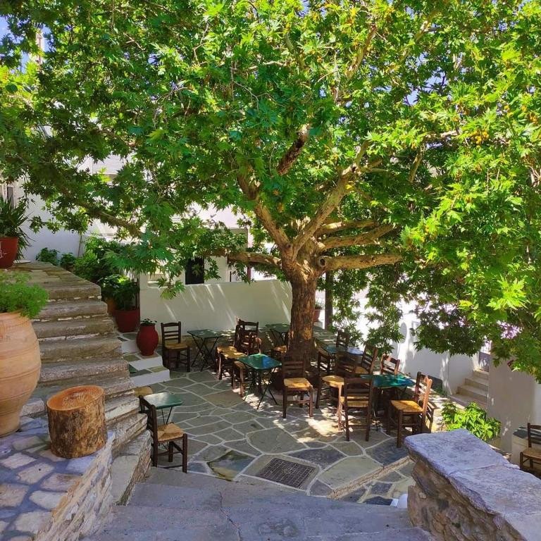 L’Essence de la Grèce : Athènes, Naxos & Santorin - Naxos | Culture, Villages & Saveurs - Photo du jour