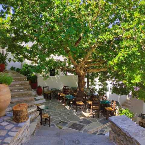 L’Essence de la Grèce : Athènes, Naxos & Santorin