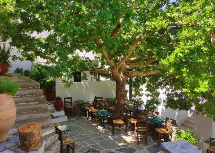 L’Essence de la Grèce : Athènes, Naxos & Santorin - Naxos | Culture, Villages & Saveurs - Photo du jour