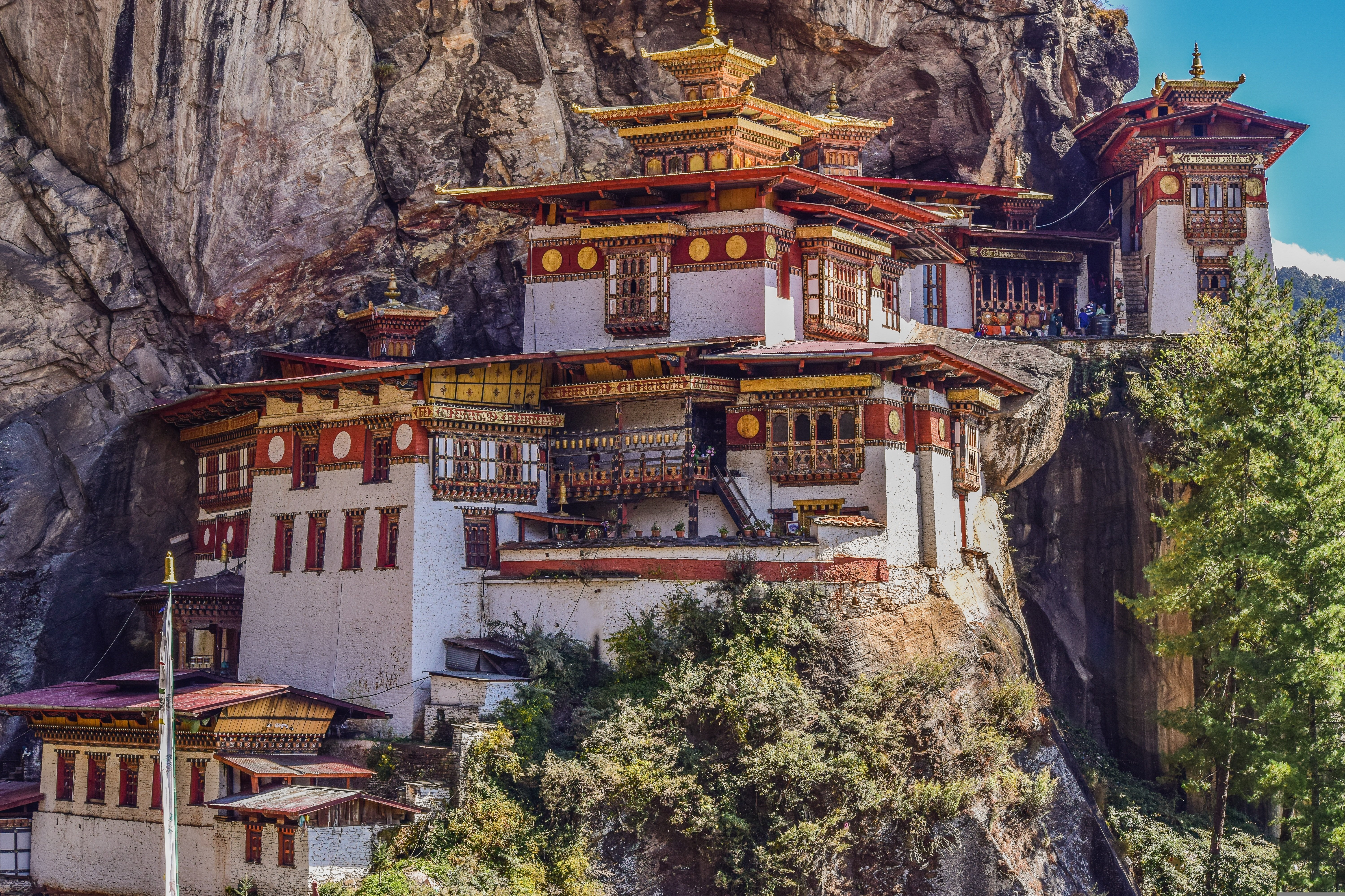 Tour culturale del Bhutan occidentale via Nepal - Escursione al Monastero di Taktsang o visita culturale a Paro - Foto del giorno