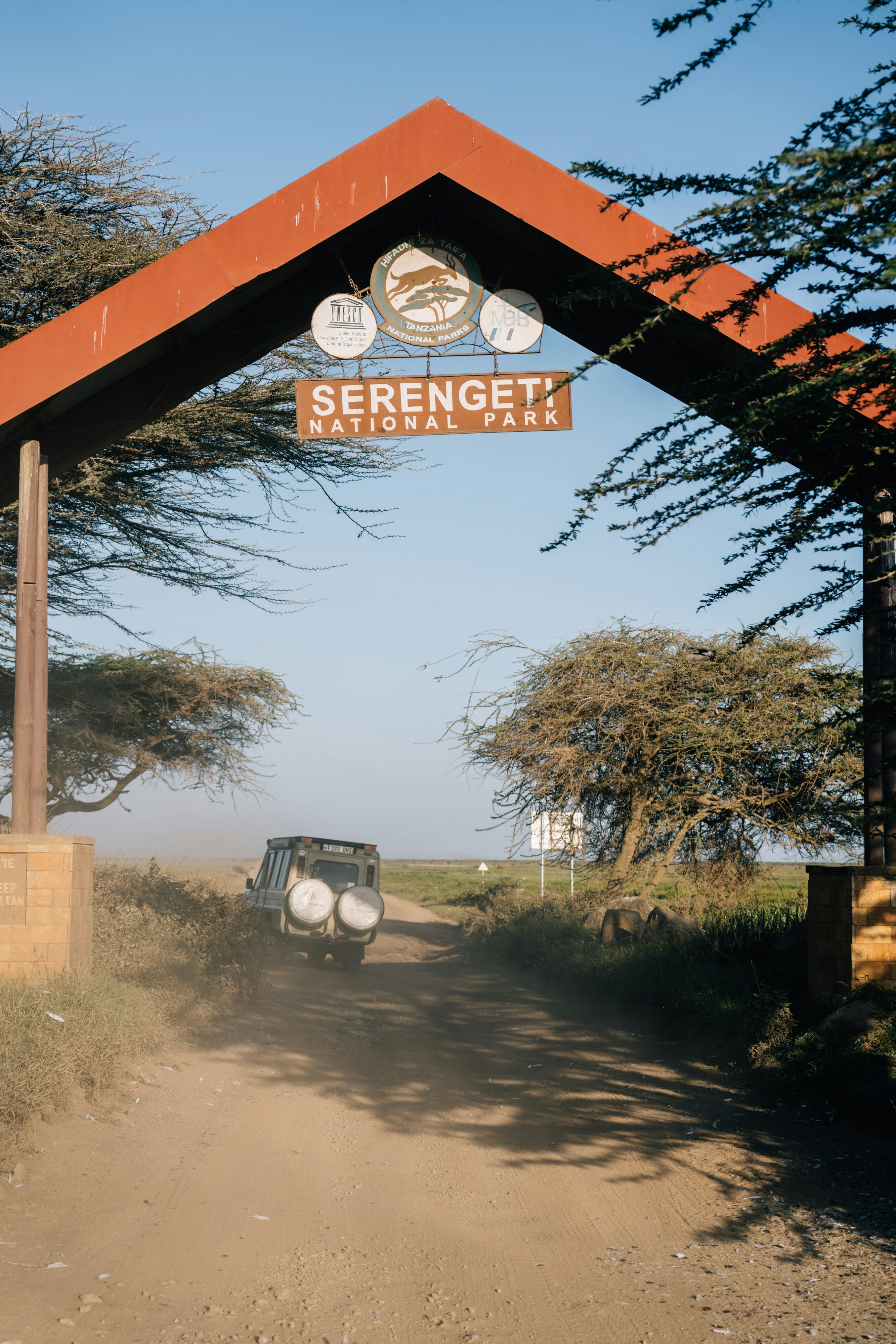 Safari de 9 jours de la Grande Migration des gnous du Serengeti - Parc national du Serengeti central - Photo du jour