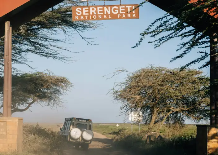 Safari de 9 jours de la Grande Migration des gnous du Serengeti - Parc national du Serengeti central - Photo du jour