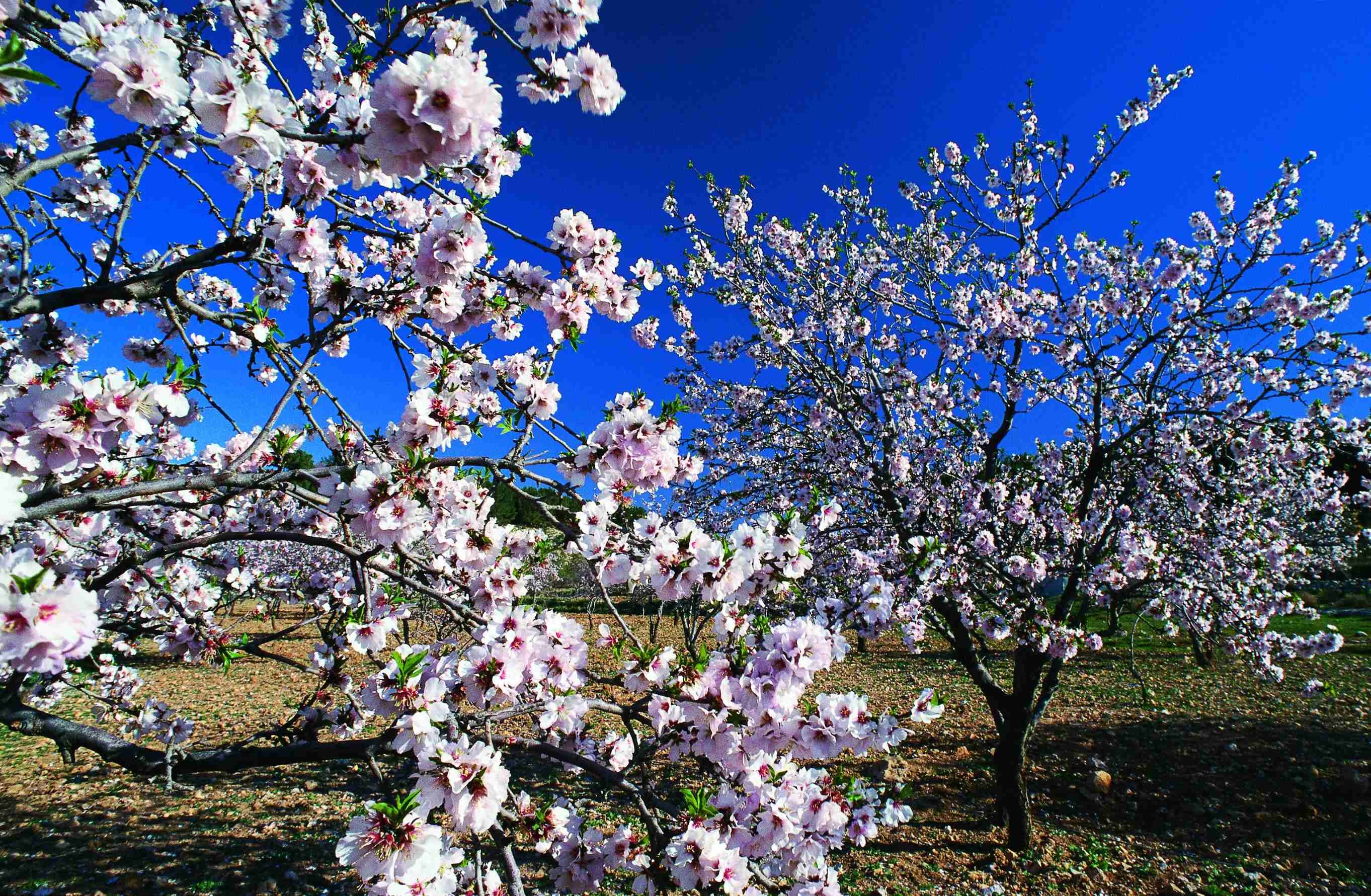Das Beste von Jordanien beim Wandern - Wadi Finan - Wadi Ghuweir - Wadi Finan - Wadi Ghuweir