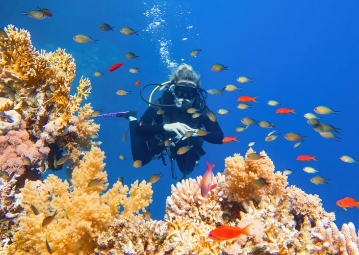 🌟 Discover Egypt: Cairo, Aswan, Luxor & Hurghada - Relaxation at the Red Sea - Photo of the day