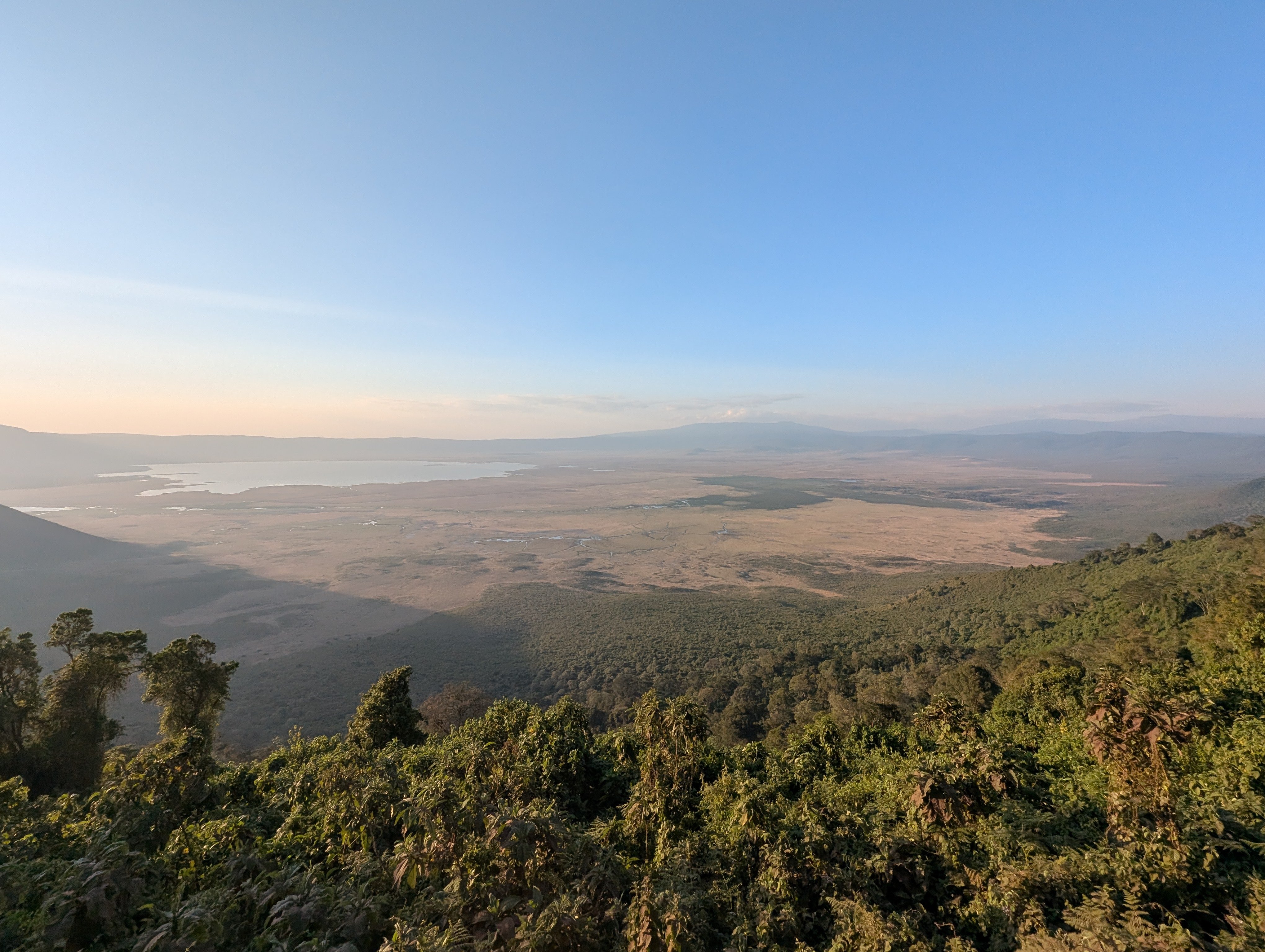 La Tanzanie autrement : safari et expériences locales - Safari dans le cratère du Ngorongoro - Photo du jour