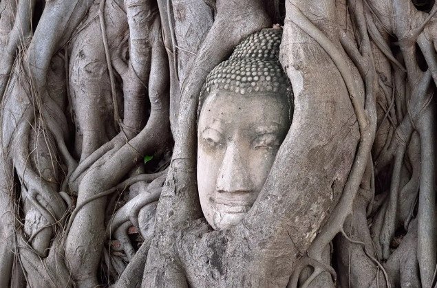 Circuit guidé de Bangkok au cœur du royaume de Lanna - Kanchanaburi – Camp de réhabilitation des éléphants – Ayutthaya – Petit déjeuner, déjeuner - Photo du jour