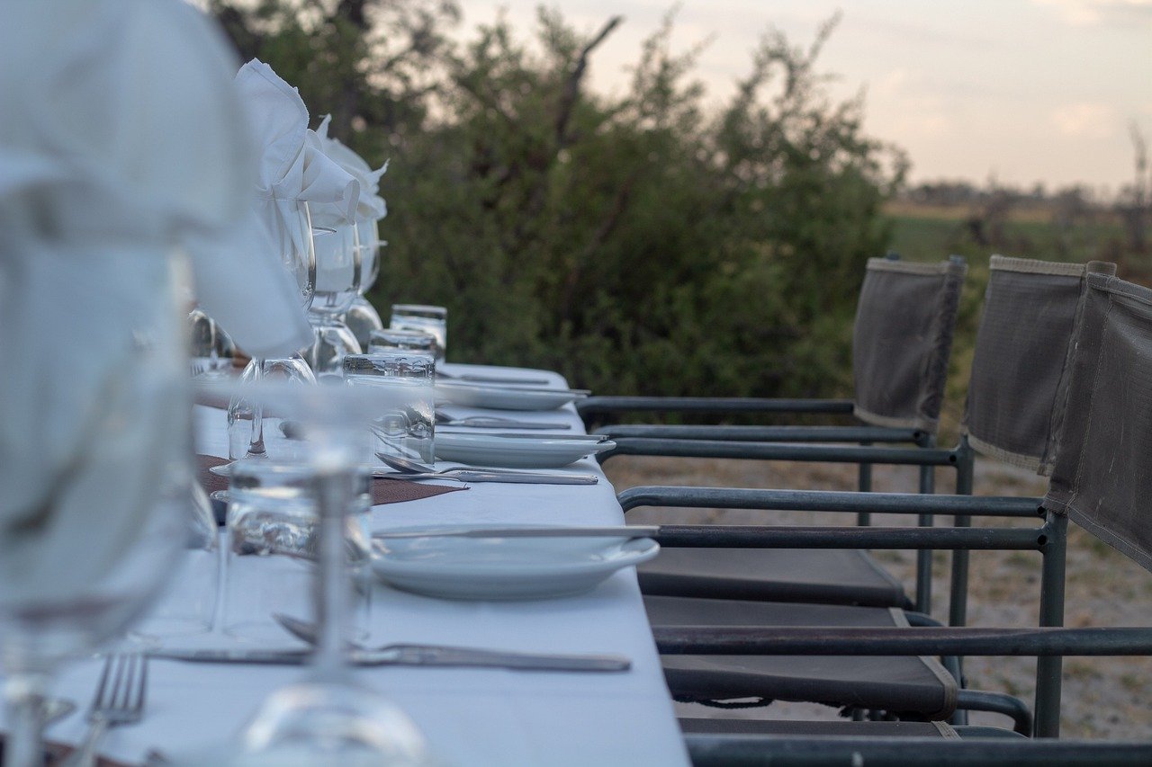 DE SAFARI BABY GNOES IN 11 DAGEN - Zuid-Serengeti - Sud Serengeti