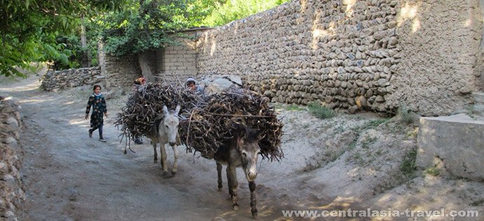 Autentico Uzbekistan - Samarqand – Monti di Nuratau (villaggio di Hayat) in auto, 300 km - Foto del giorno