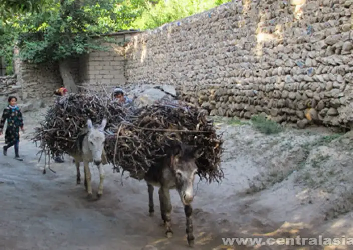 Auténtico Uzbekistán - Samarqand – Montañas de Nuratau (pueblo de Hayat) por carretera, 300 km - Foto del día