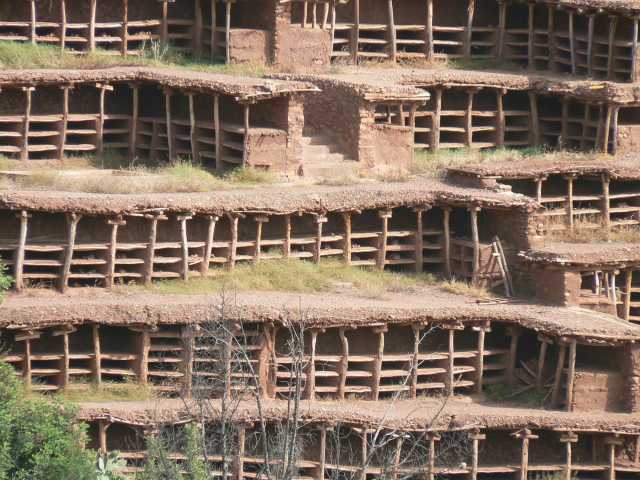 Inmersión en tierra bereber, fuera de los caminos trillados.