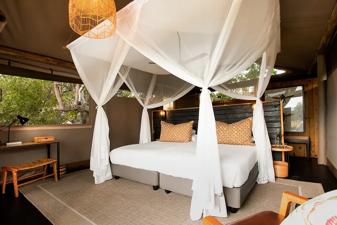 Khwai à pied - Cachette souterraine & Vol en hélicoptère vers Little Sable - Photo du jour