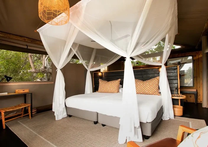 Khwai à pied - Cachette souterraine & Vol en hélicoptère vers Little Sable - Photo du jour