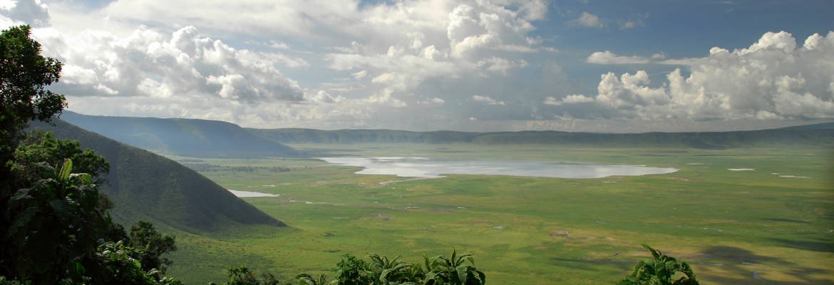 Safári Atemporal na Tanzânia & Escapada a Zanzibar - Safari na Cratera de Ngorongoro - Foto do dia