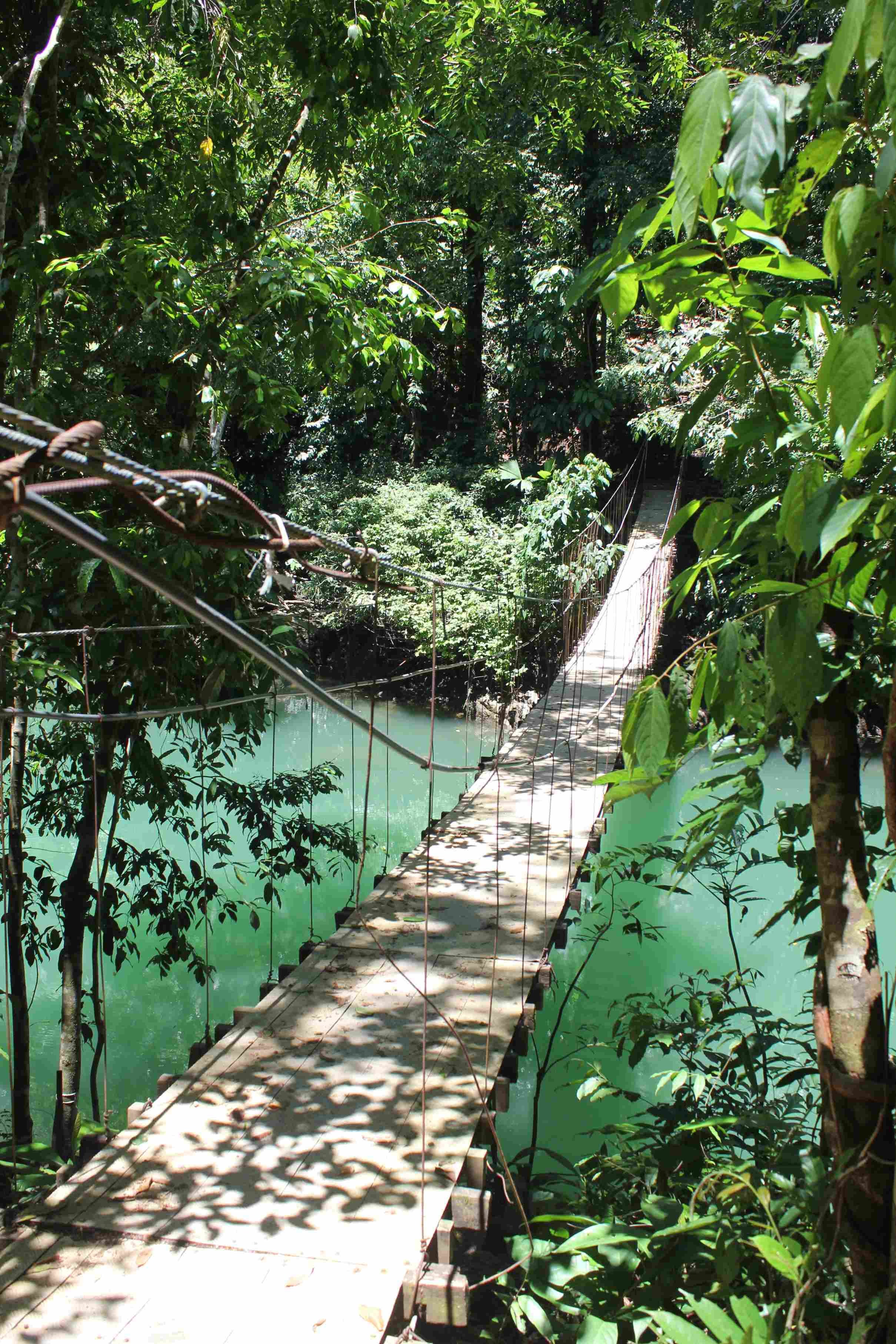 Merveilles naturelles du Costa Rica - Drake - Isla del Caño - Drake - Isla del Cano