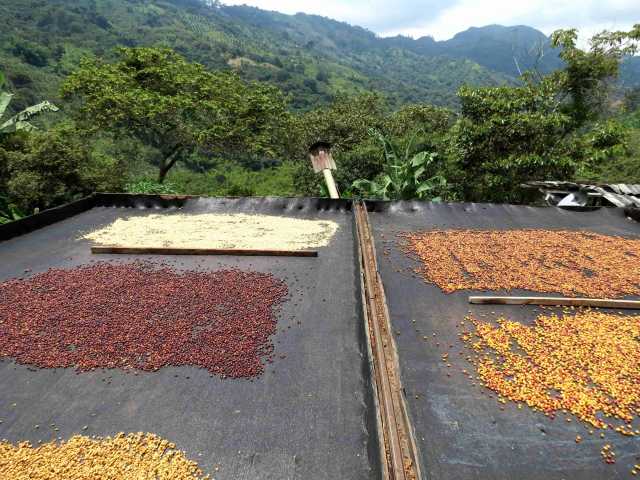 La Colombie en famille - 15 jours