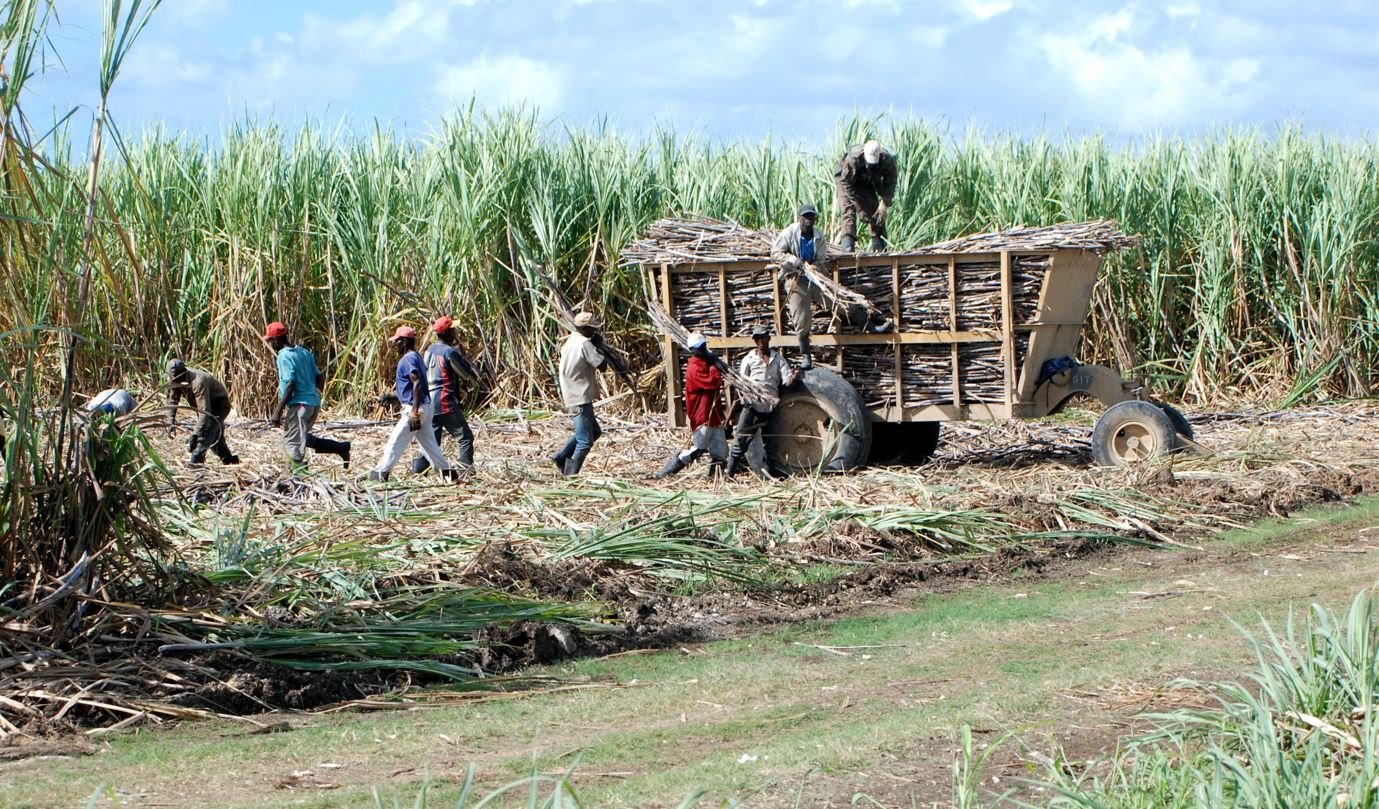 8 giorni a Bayahibe nella Repubblica Dominicana - null - Foto del giorno