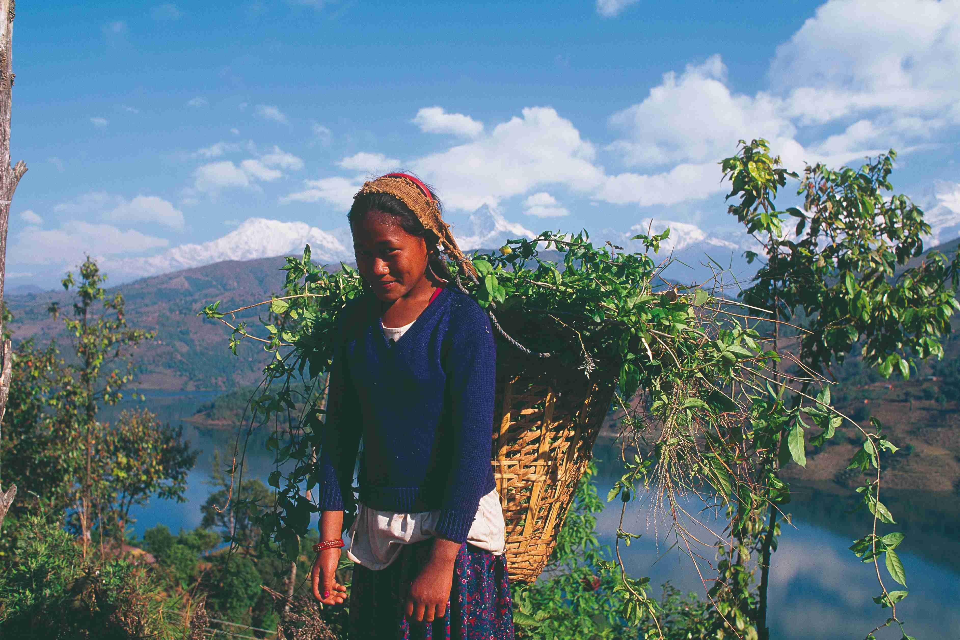 Mustang, el reino escondido... - Jomosom - Pokhara - Katmandú - Jomosom - Pokhara - Katmandou