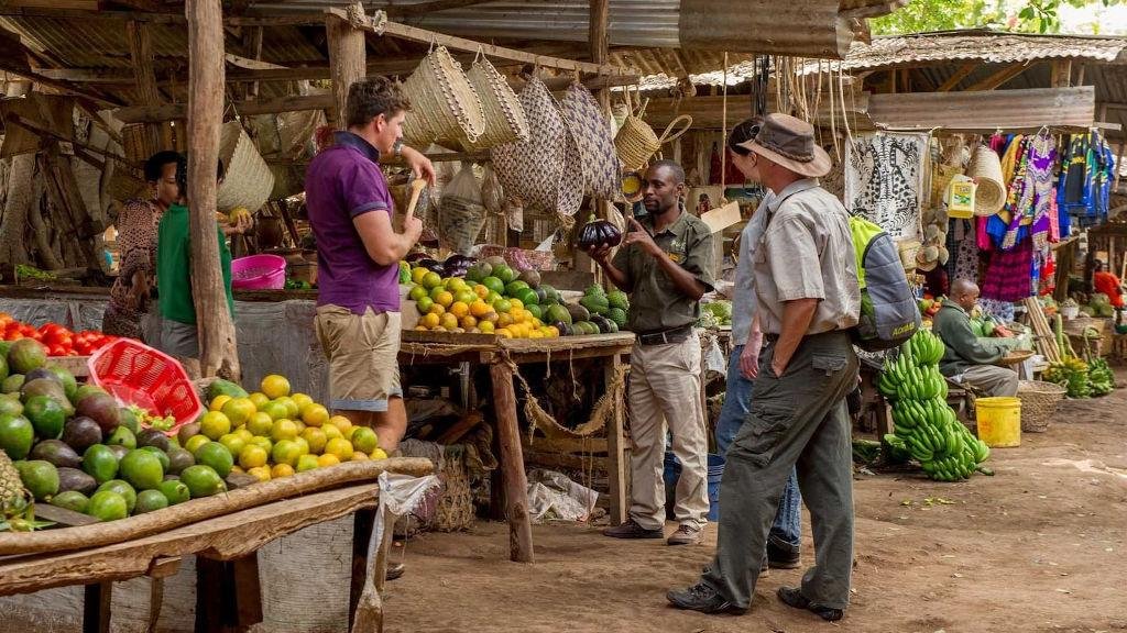 4-Day Northern Tanzania Wildlife Budget Safari with Cultural Experiences - Visiting Manyara National Park and taking a cultural tour in Mto wa Mbu village. - 775428ef60dea31947dfd22dd45c1634