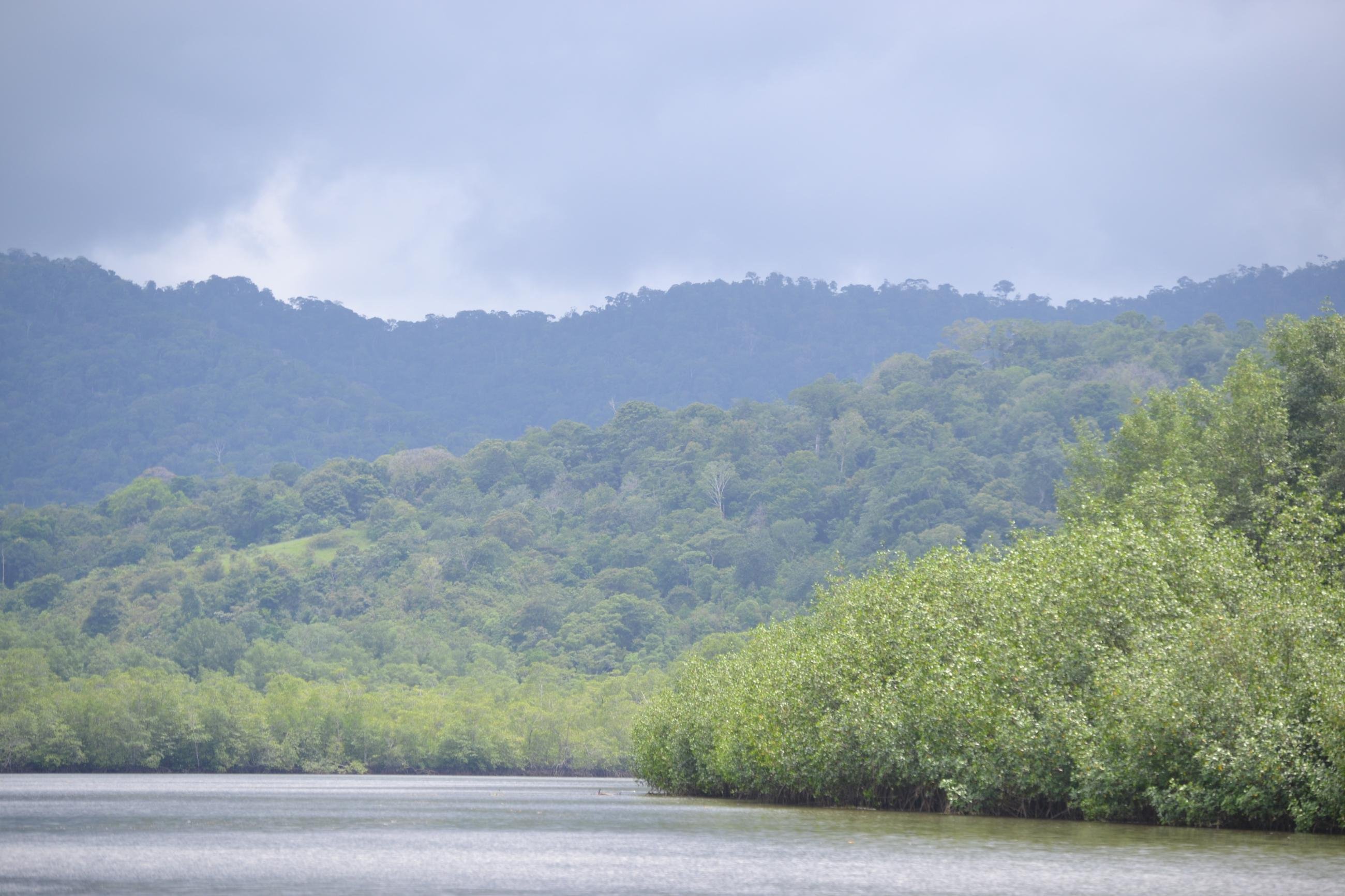 Von der Karibikküste bis zum Pazifik von Costa Rica. - Zur Osa-Halbinsel - Vers la péninsule de Osa