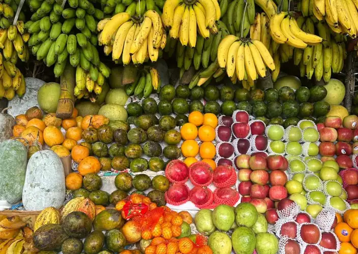 Encuentros insólitos en el país del oro verde - Kandy en profundidad - Photo du jour