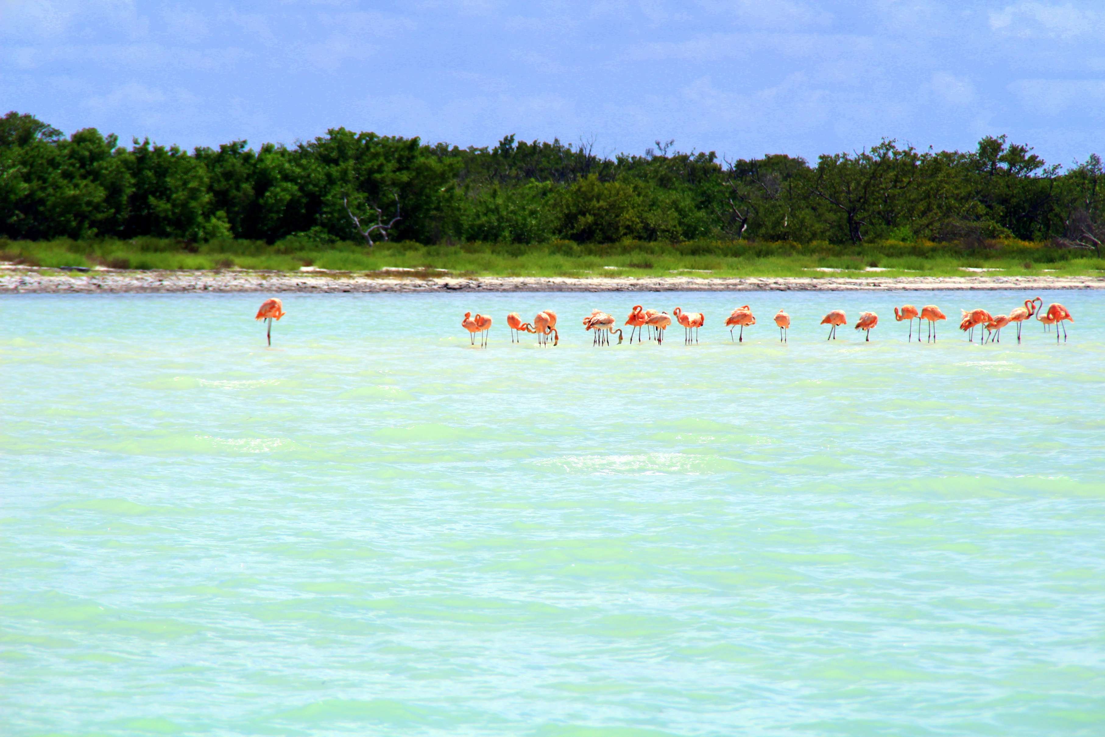 Zero-Waste-Route, Halbinsel Yucatán - Erkundung der Mangroven mit dem Kajak - Exploration des mangroves en kayak