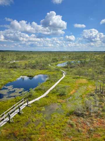 11 días por los países bálticos