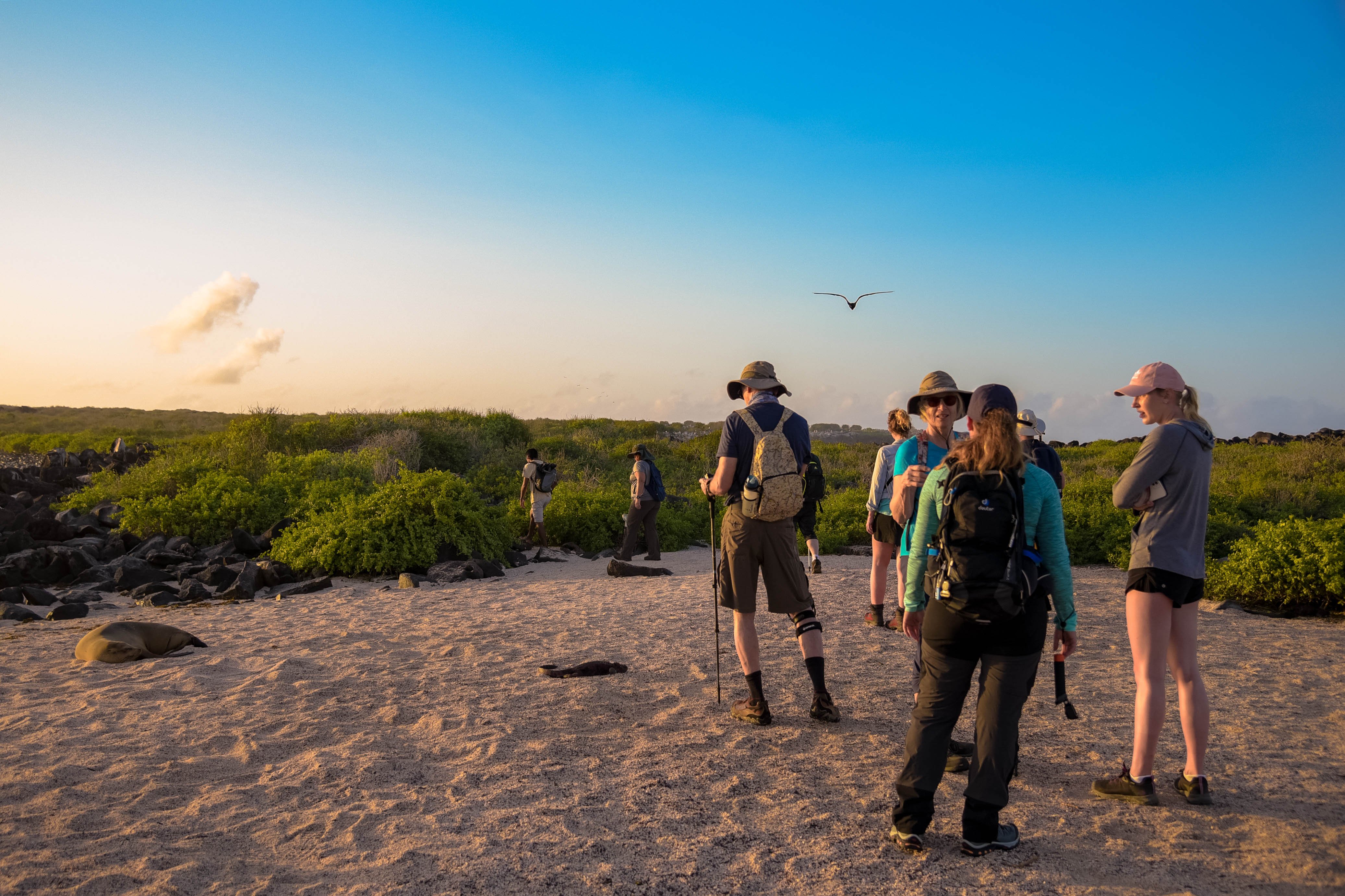 Galápagos von Insel zu Insel - null - Tagesfoto